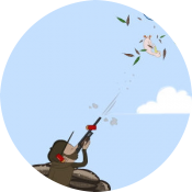 Стрельба по уткам